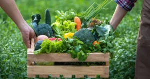 From Farm to Table : Taste The world's Best Local Foods