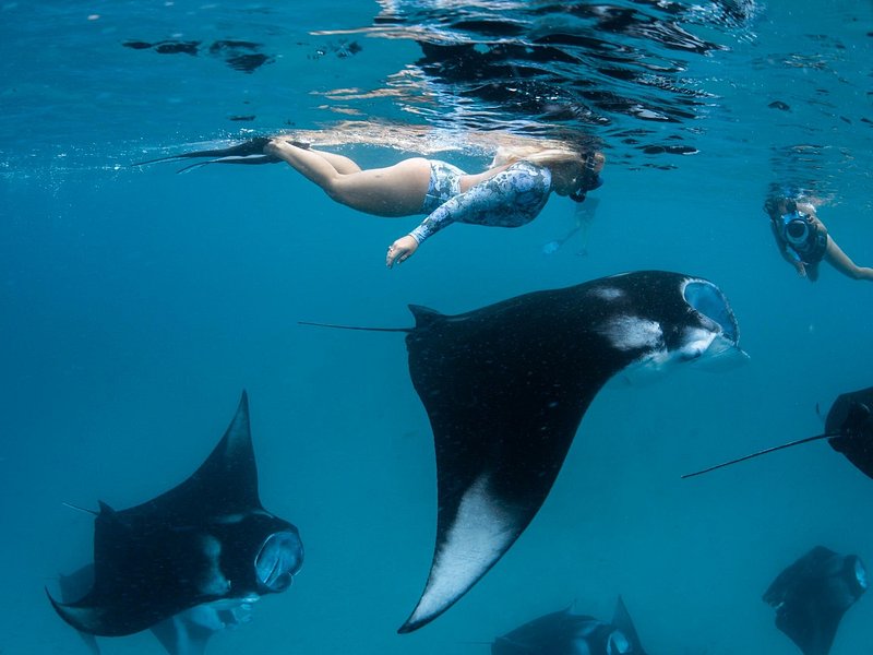 Top 5 Microcations to Recharge your Mind and Soul